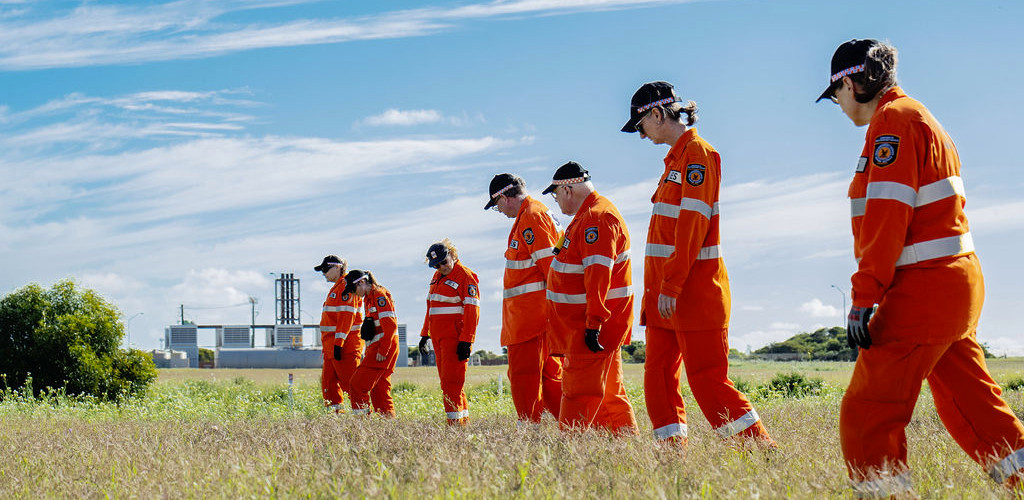 Volunteers searching a field